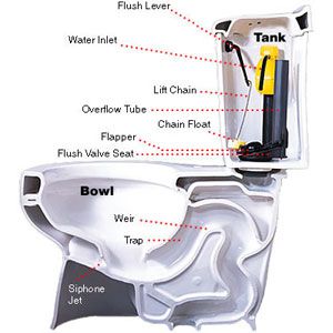 low-flush toilets